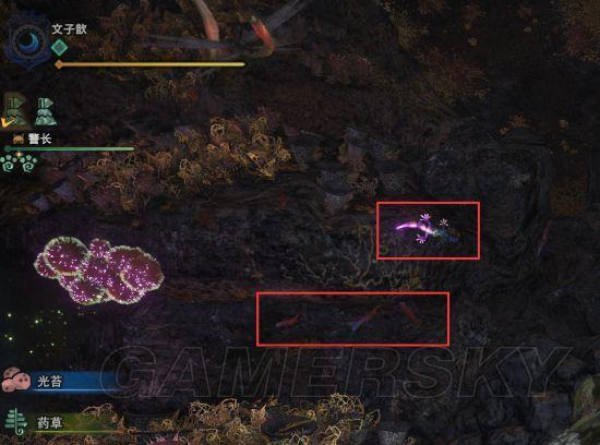 荒野怪物猎人捕捉攻略：揭秘虚无咚高效捕获技巧