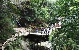 涌油谷营地攻略：荒野狩猎峡谷搭建秘籍推荐