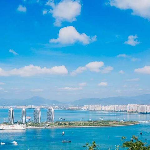 《荒野猎手秘籍：弓箭利器搭配攻略，技能精炼心得分享》