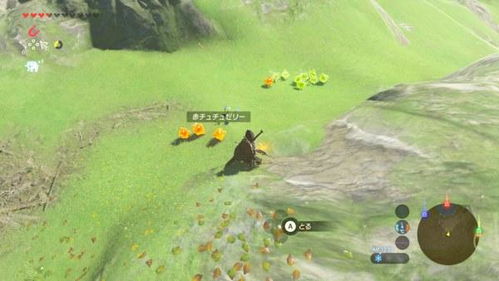 荒野追踪：足迹蜥蜴捕捉秘籍，沙之流星藏匿攻略深度解析