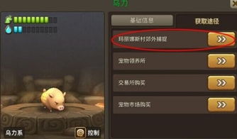 荒野狩猎攻略：揭秘大虚无动捕获秘境，高效捕获技巧分享