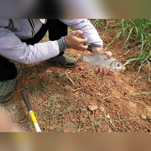 《荒野猎人钓技揭秘：鱼类栖息饵料攻略与道具全解析》