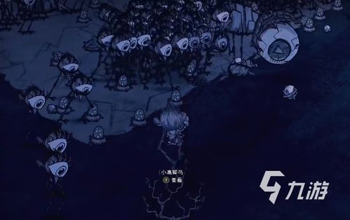 荒野寻宝：端丽翼鸟藏身之谜，探索新路径！