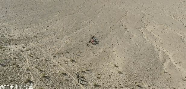 荒野追踪：足迹蜥蜴神秘藏匿，独家揭秘新坐标！