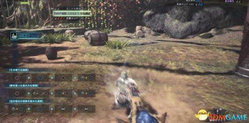 《怪物猎人荒野》狩猎笛调查队武器揭秘与路线攻略分享大全