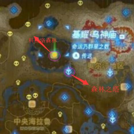 《荒野猎人》大剑队属性解析与攻略路线全揭秘攻略手册