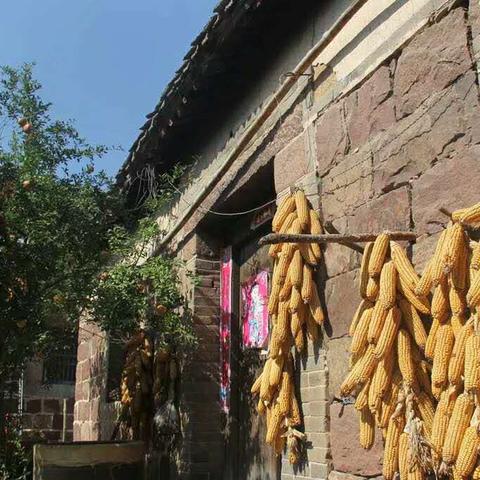 《怪物猎人荒野》断崖回响秘境攻略：解锁次要使命新技巧