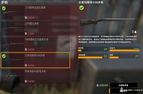 《荒野猎人铳枪秘技全解析，招式键位新攻略》