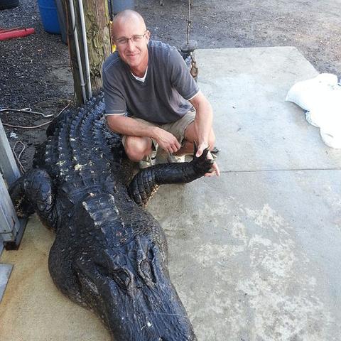 《荒野猎人攻略》战斗技巧解析与怪物捕获秘籍大公开