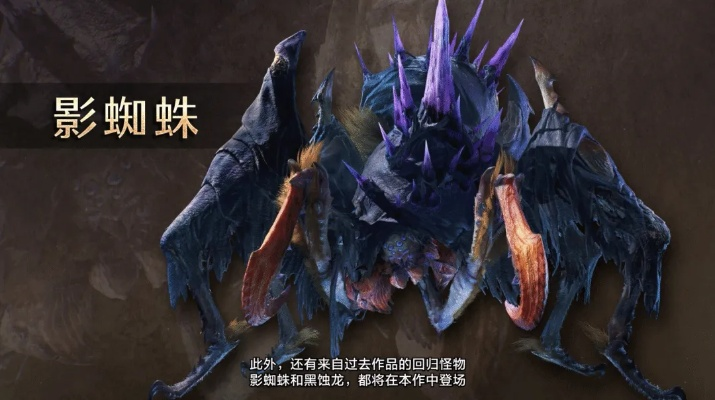 《怪物猎人荒野》影蜘蛛攻略解析：高效打法与珍贵掉落材料全揭秘