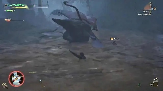 波衣龙攻略解析：高效打法与珍贵掉落材料全揭秘