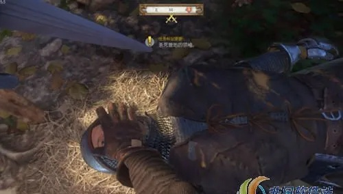 《天国拯救2》毒蝇伞高效采集攻略，解锁神秘价值点