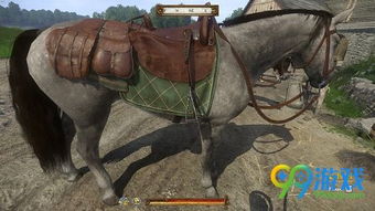 《天国拯救2》马匹草地获取攻略，轻松掌握新技能！