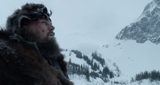 冰雾断崖探秘：荒野猎人新生态价值解析