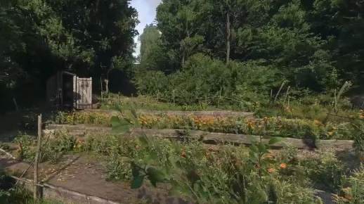 四叶重楼获取攻略：揭秘《天国拯救2》新珍稀植物获取技巧