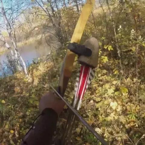 《荒野猎技揭秘：弓箭大师实战心法解析与进阶技巧》