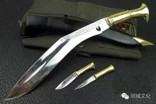 VCT2025爪刀皮肤深度解析：性价比高吗？值不值得入手？