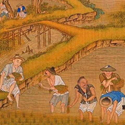 汉朝特色深度解析：文明7独特强度揭秘与价值重塑