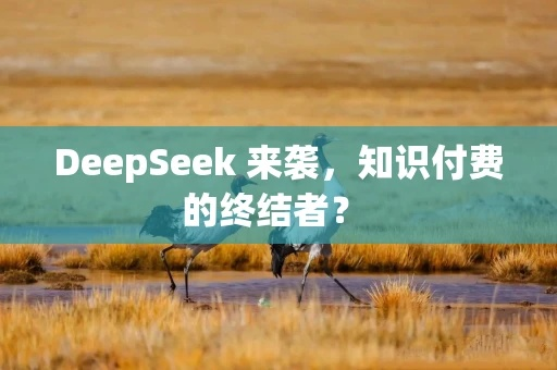 DeepSeek揭秘：深度探索之旅，全新付费模式解析