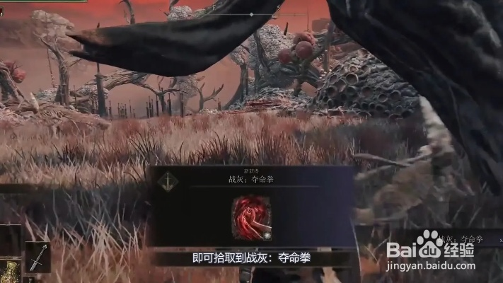 《艾尔登法环》夺命拳战灰攻略：高效获取新技巧解析