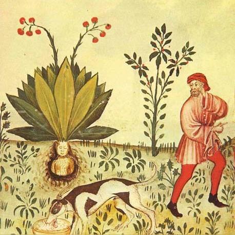 《巫师》IP自主革新，重塑奇幻世界新篇章