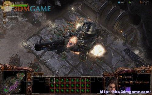 虫DK卡组攻略：深度解析虫族与DK新策略