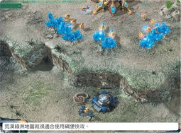 人族乌龟战卡组攻略：深度解析全新战术精髓