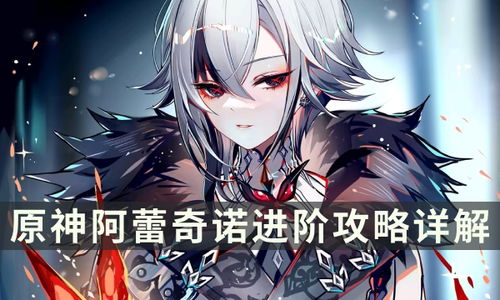 阿蕾奇诺养成攻略：高效出装与完美配队技巧解析