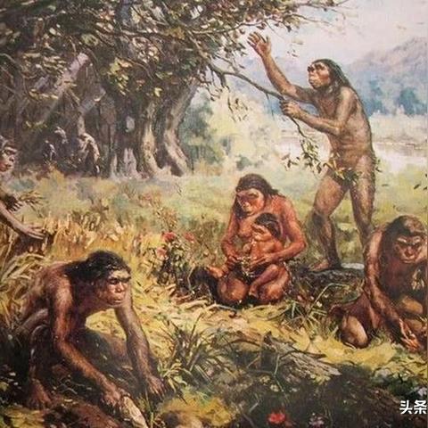 《真三国无双起源》武器精通秘籍，解锁全新战斗技巧！