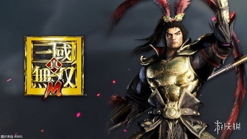 方天戟灭鸾攻略：轻松掌握《真三国无双起源》独门秘籍