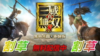 《真三国无双起源》联机畅玩揭秘，双人模式新体验！