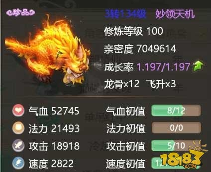 绝天青龙吼武艺解析：解锁全新战斗价值秘籍