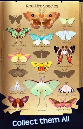 蝴蝶奥秘解锁，星穹铁道若虫谜题攻略全解析