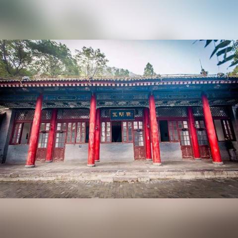 动森新更新激战最佳椅子，家具收藏新潮流来袭