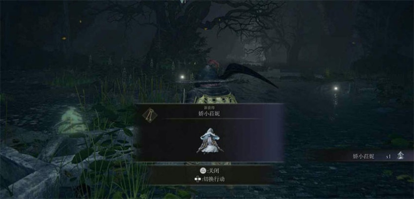 暗月魔法揭秘：艾尔登法环菈妮独门秘籍获取攻略