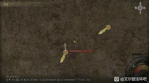 战吼战灰高效攻略：艾尔登法环独门获取技巧揭秘