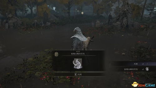 艾尔登法环独门秘籍：轻松获取岩石剑战灰攻略！