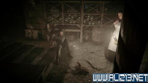 悲叹墓岛解谜攻略，探秘《鸣潮》溢彩画新篇章