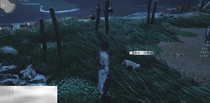 《燕云十六声》清河猫戏位置揭晓，探秘清河地区猫戏新地标