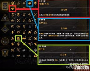 珂莱塔突破必备：高效素材攻略与点位解析