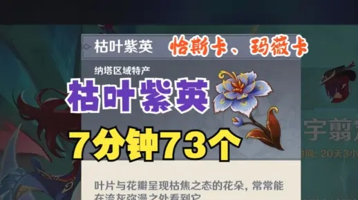 玛薇卡成长秘籍：枯叶紫英采集新攻略，解锁神秘元素之力