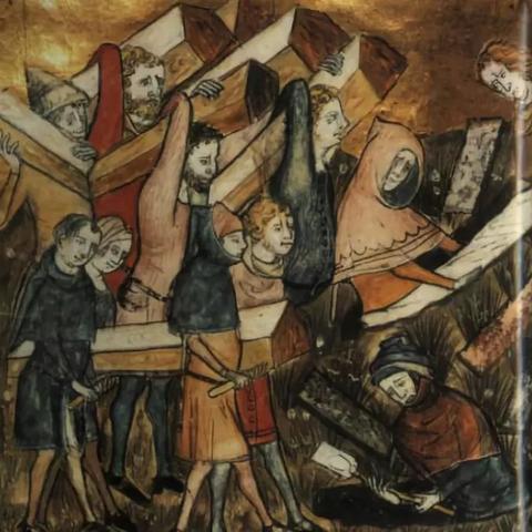 怪物肆虐，疫病幸存者揭秘新篇章