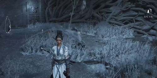 《燕云十六声》红尘障目攻略：高效获取新秘籍技巧分享