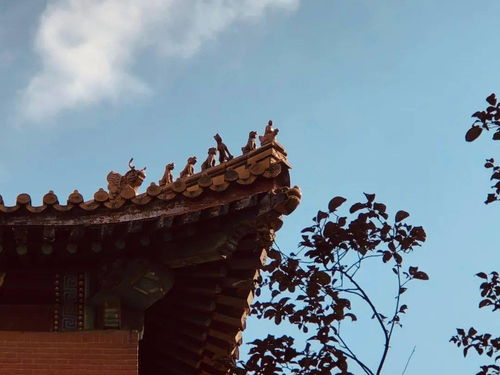 《燕云十六声》飞檐逐影攻略：高效获取新技巧揭秘