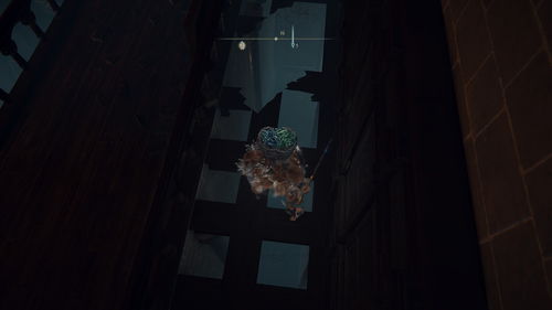 艾尔登法环帚星魔法攻略：轻松获取帚星秘法技巧