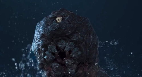 黑风山探秘：三冬虫新坐标，探寻神秘生物价值