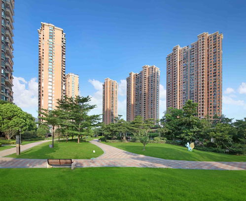 强风猛进攻略揭秘：高效述演活动玩法解析