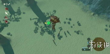 荒野之息独家攻略：轻松捕捉马匹技巧大公开