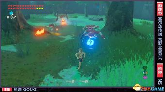 荒野霸者试练揭秘：探索《塞尔达传说》新境界