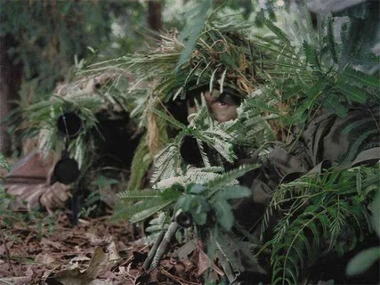 德军伪装技巧揭秘：古老之圈国防军变身攻略